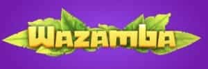 Blaze roupa